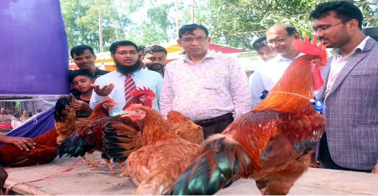 ধনবাড়ীতে প্রাণিসম্পদ সেবা সপ্তাহ ও প্রদর